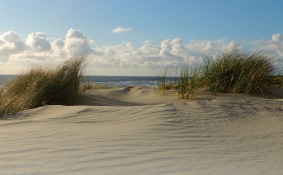 duinen 3